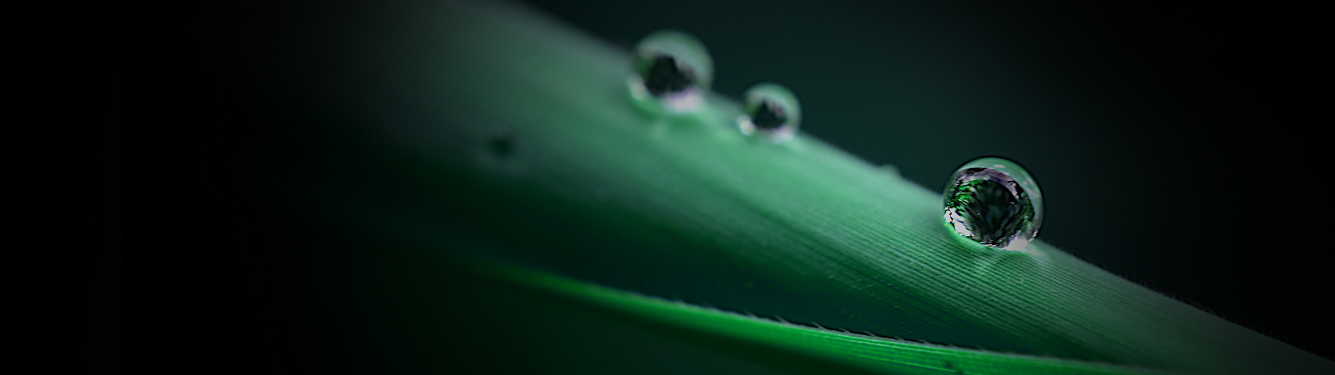 周全节能，不简朴。